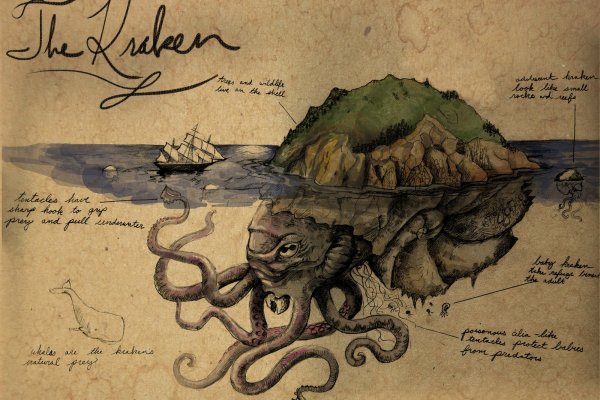 Www kraken 20at net