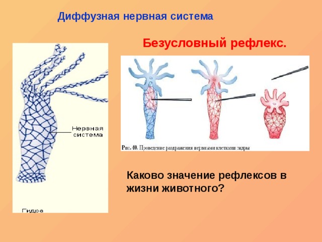 Кракен открылся
