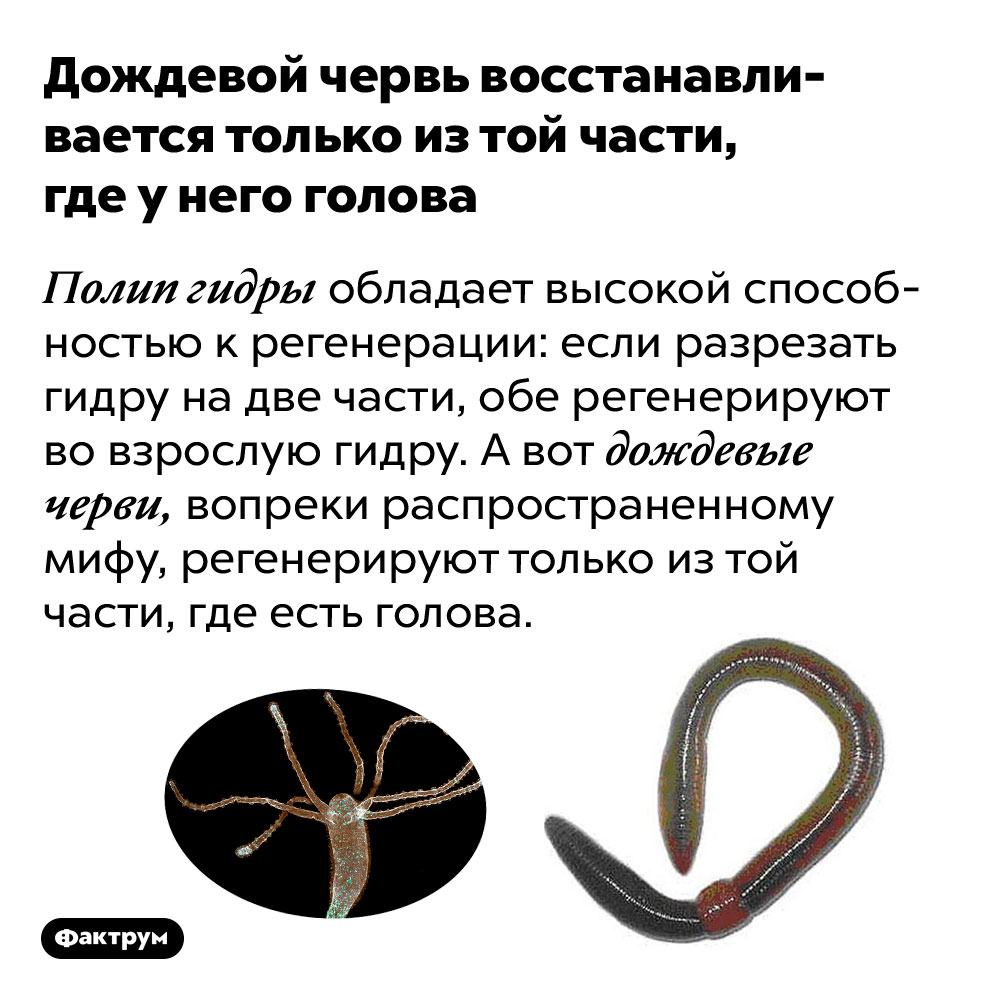 Кракен маркетплейс ссылка тг